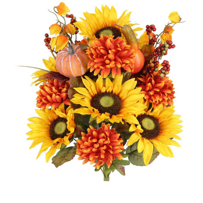 Tournesol mélangé