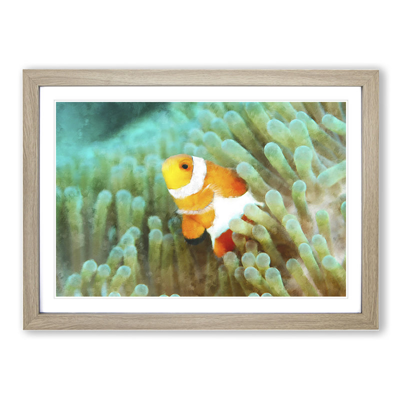 Clownfish Vol.1 - Picture Frame Graphic Art, Oak Framed, 36cm H x 48cm W x 2cm D