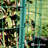  6FT H X 50FT W Green Vinyl Coated Welded Wire Mesh, 16 Gauge 2-Inch x 3-Inch Grid Hardware Cloth for Home and Garden, Great for Home Improvement and Home Guard Project-110574446-96004495