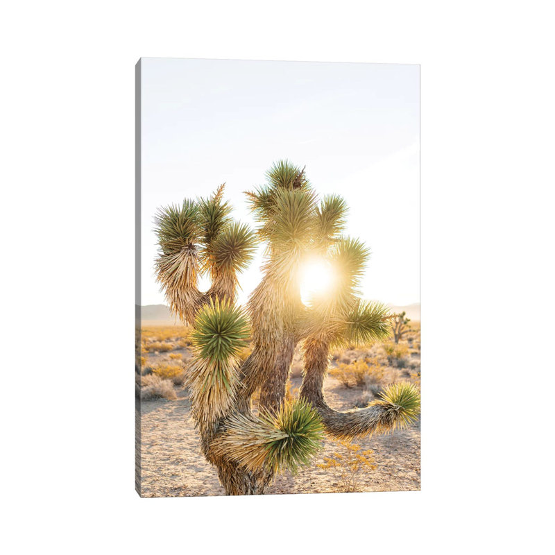 Joshua Tree Sunrise by Bethany Young - Print on Canvas, Wrapped Canvas, 45.72cm H x 30.48cm W x 1.91cm D
