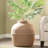 Lipton Covered Hidden Cat Litter Box with Decorative Planter