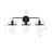 3-light Dimmable Vanity Light with Glass Shades