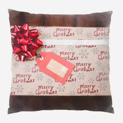 Canvas Outdoor Reversible Throw Pillow