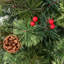 Arbre de Noël vert pin cachemire avec lumières DEL-77494024