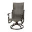 Florence Woven High Back Swivel Rocker-223746508-223799305
