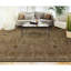 Bikaner Wool Oriental Area Rug