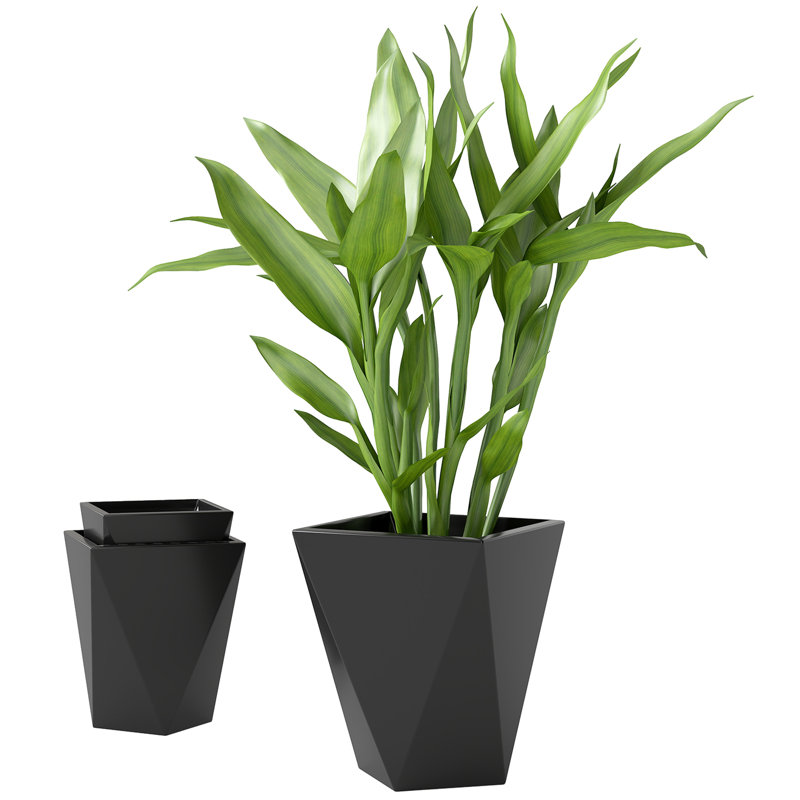 Kise Pot Planter, Black, 18" H x 15.25" W x 11.75" D