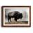 " Geyser Basin "-216942438-216942436