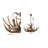 Whitmer 6-Light Antler Chandelier