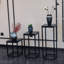 Olegario Plant Stand - Set of 3