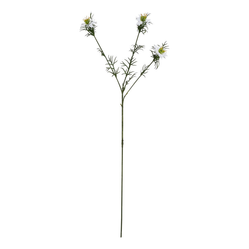 Arrangement, White