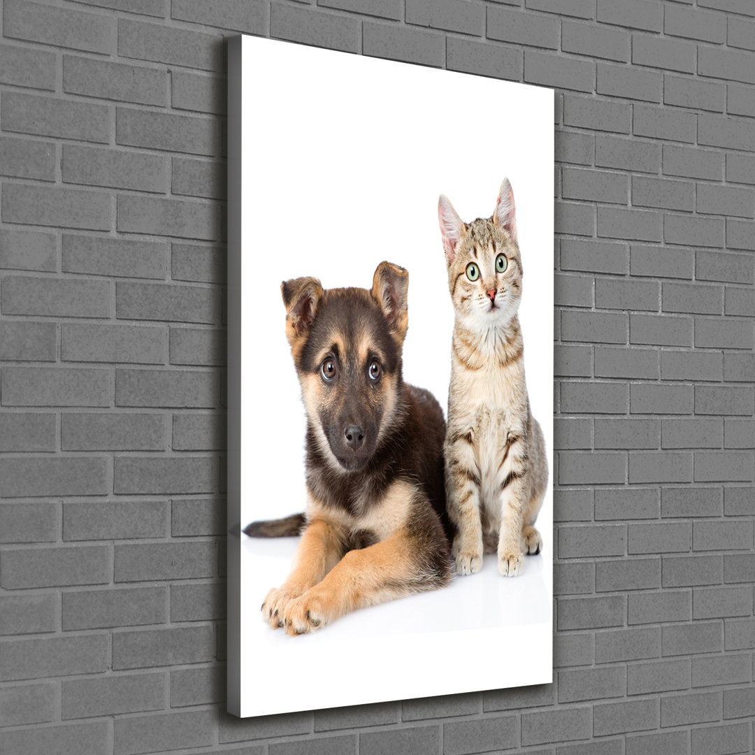 Hund und Katze - Kunstdruck auf Leinwand - Wrapped Canvas