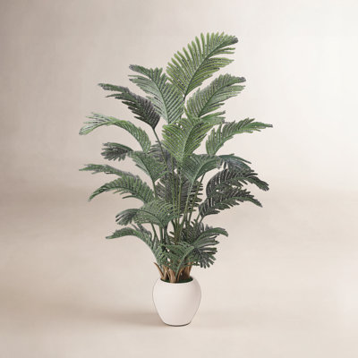Moreell Palm Tree Plant in Pot