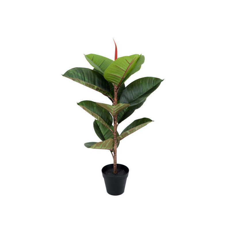130cm Plant