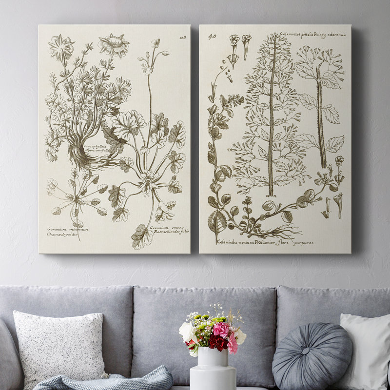 Toile tendue avec châssis sépia Botanical Journal, H 12 po x l 8 po