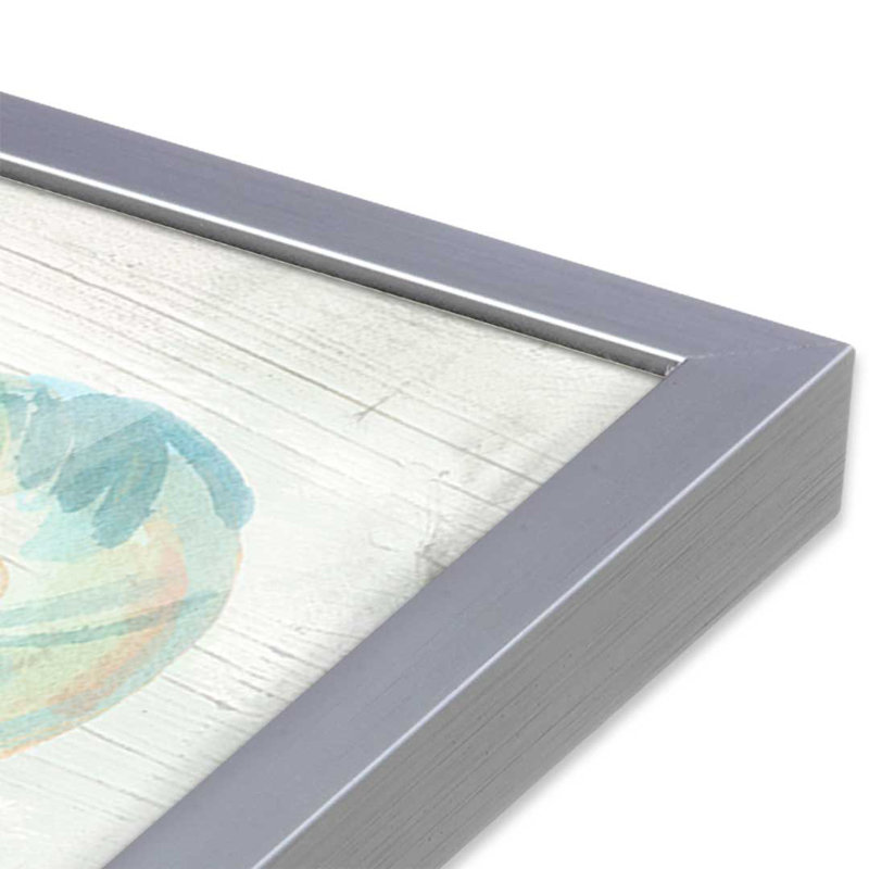 Reproduction d'art «Saltwashed Shells IV» par June Erica Vess, H 20 po x l 20 po, Argent argent