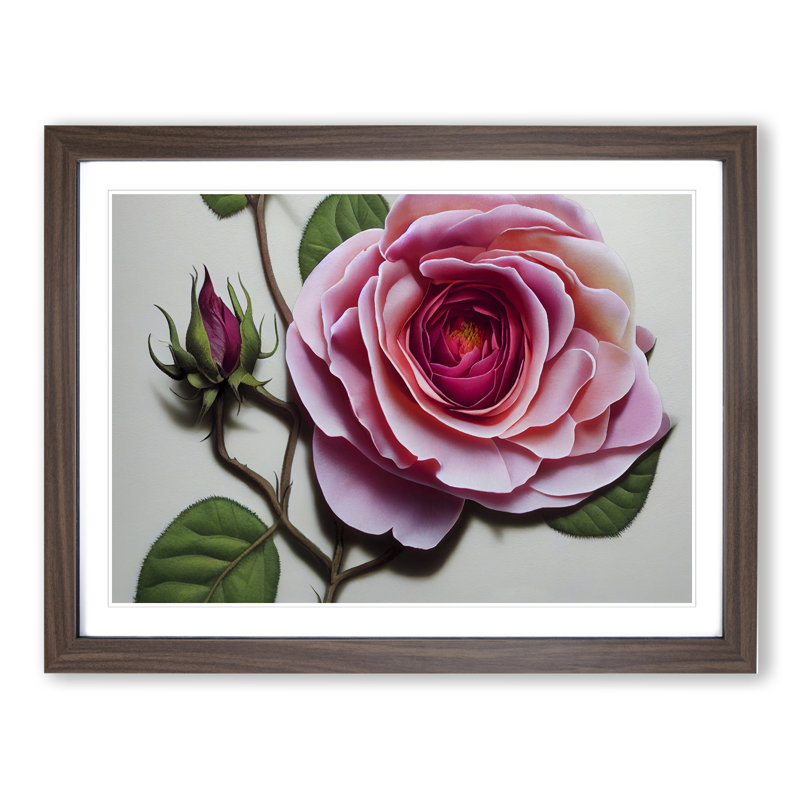Extraordinary Rose Flower - Framed Print, 34cm H x 46cm W x 2cm D, Walnut