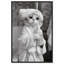 «Cat Bath Ready» par Art Remedy-110315368-110315371-110315379