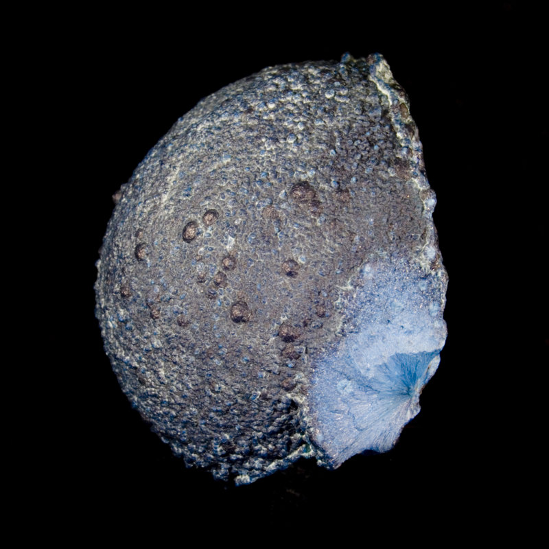 Shattuckite - Tantara Mine, D.R. Congo