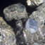 Cristal Latunja