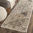 Petronella Viscose Oriental Rug in Ivory-19261753
