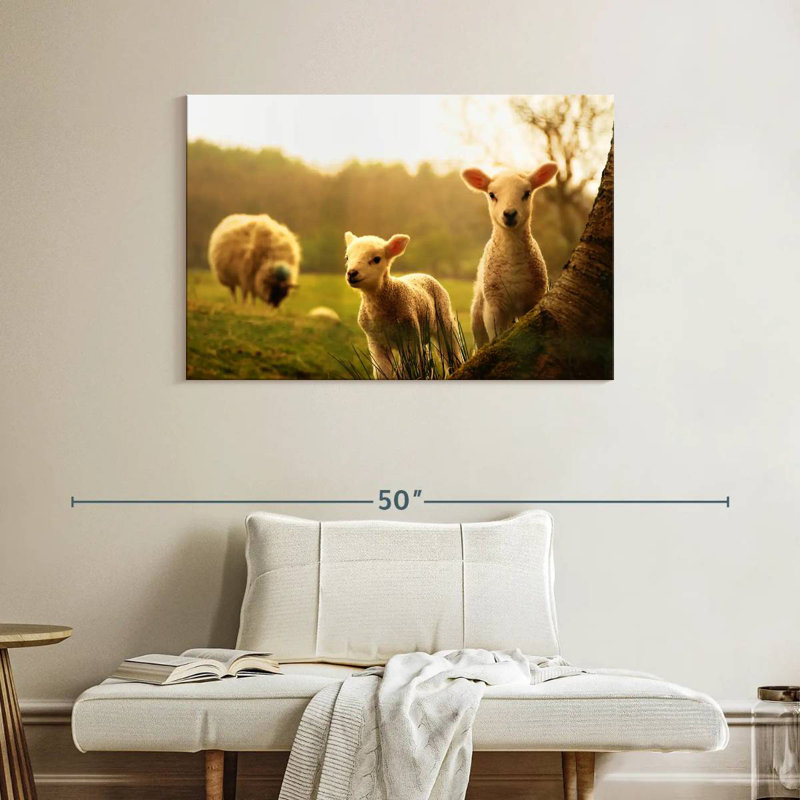 Brampt Baby Lambs, 26" H x 39" W