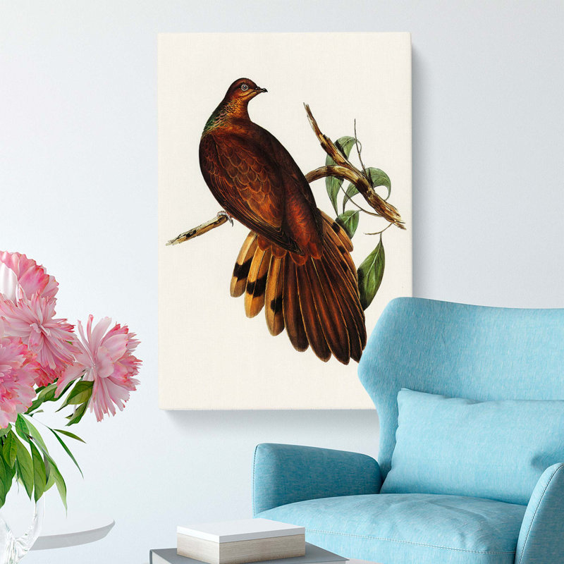 Pheasant-Tailed Pigeon by Elizabeth Gould - Wrapped Canvas, 50cm H x 35cm W x 3cm D