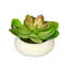 Jardinière avec succulent Echeveria artificielle-1784032528-1784039847