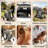 Dog Stroller For Small & Medium Dogs, Pet Stroller For 2 Small Dogs With Adjustable Handle & Canopy, Extra Large Heavy Duty, Foldable & Ventilated, Storage Organizer-128734794-128734795