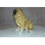 Statue de chien carlin Hode