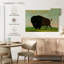 Taureau Brampt broutant dans la prairie-107853699
