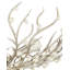 Shinju 4 - Light Chandelier