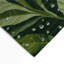 Tapis d'intérieur et d'extérieur vert Nature-290994860