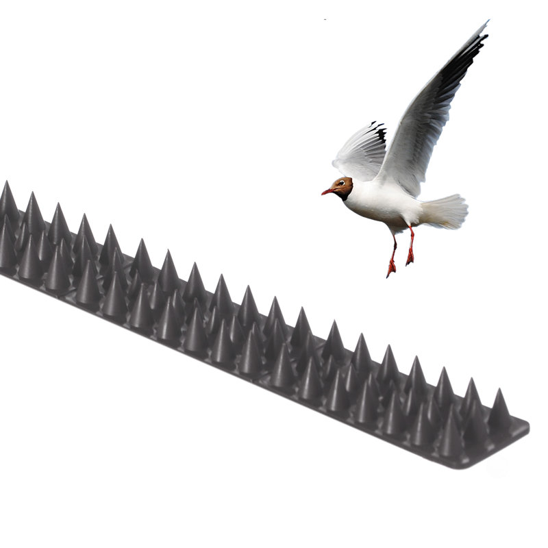 Pack of 10 Black Plastic Bird Deterrent Spikes for Fence and Wall