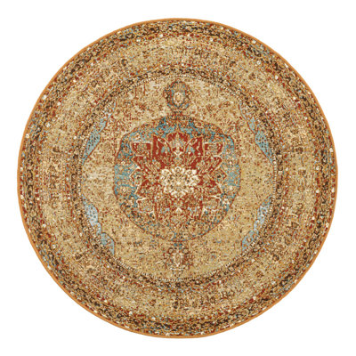 Indoor/Outdoor Traditional Area Rug
