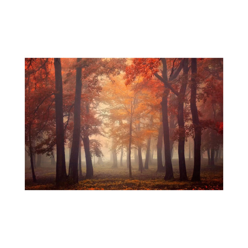 Feel by Ildiko Neer - Wrapped Canvas Print, 30.48cm H x 45.72cm W x 1.91cm D