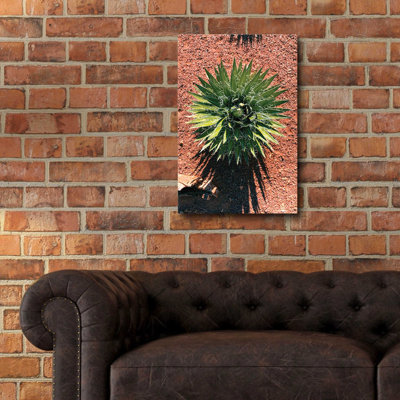 " Utah - Cactus 2 "