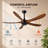 62-Inch wood Ceiling Fan  without Light