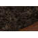 Sunlight Area Rug in Brown