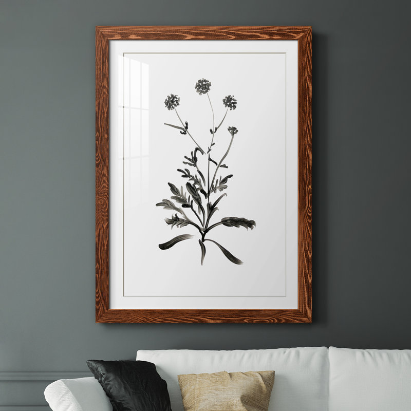 Inky Botanical I - peinture encadrée, H 44 po x l 31 po x P 1 po, Érable