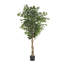 Ficus artificiel Deso, feuilles vertes avec tronc torsadé, 71 pouces