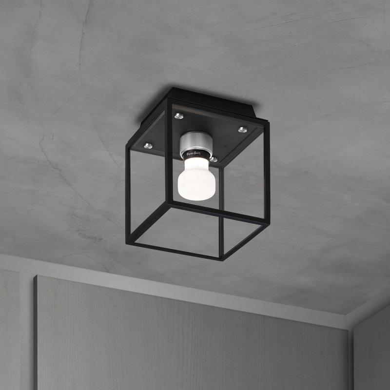 Cage humide / plafond / petit, Acier / noir