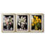 FLORAL Series DCC-III - Impression sur mesure encadrée de qualité supérieure - 3 pièces-1391629297-1391629303