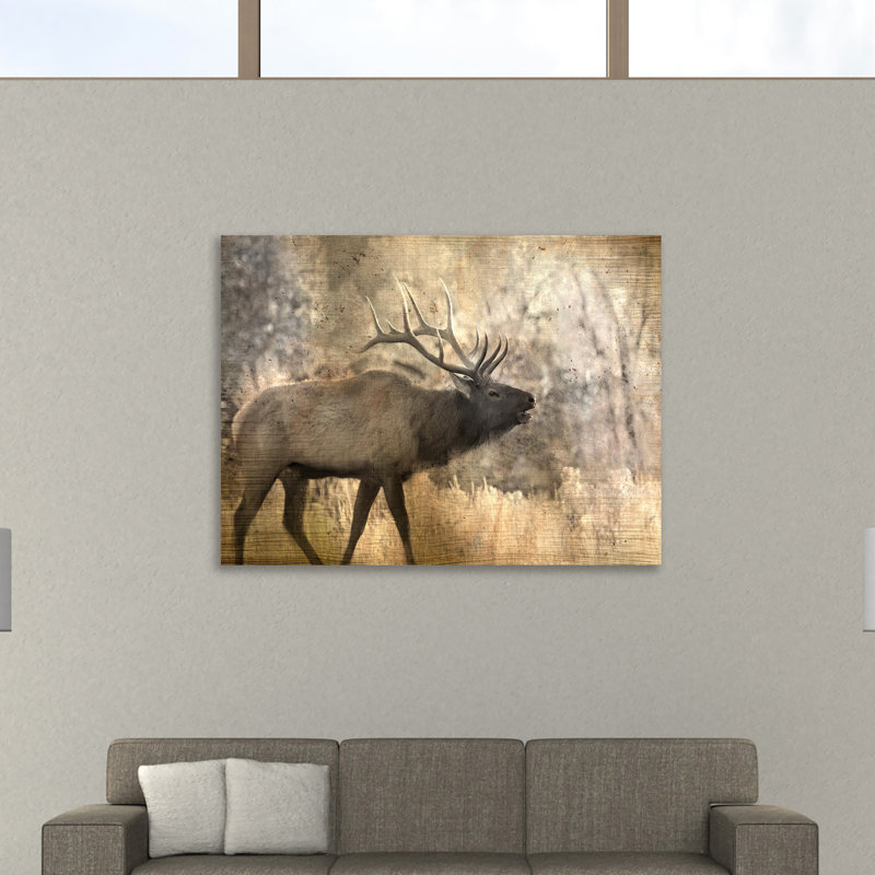 Morning Walk by Kimberly Allen - Wrapped Canvas Print, 91cm H x 122cm W x 4cm D