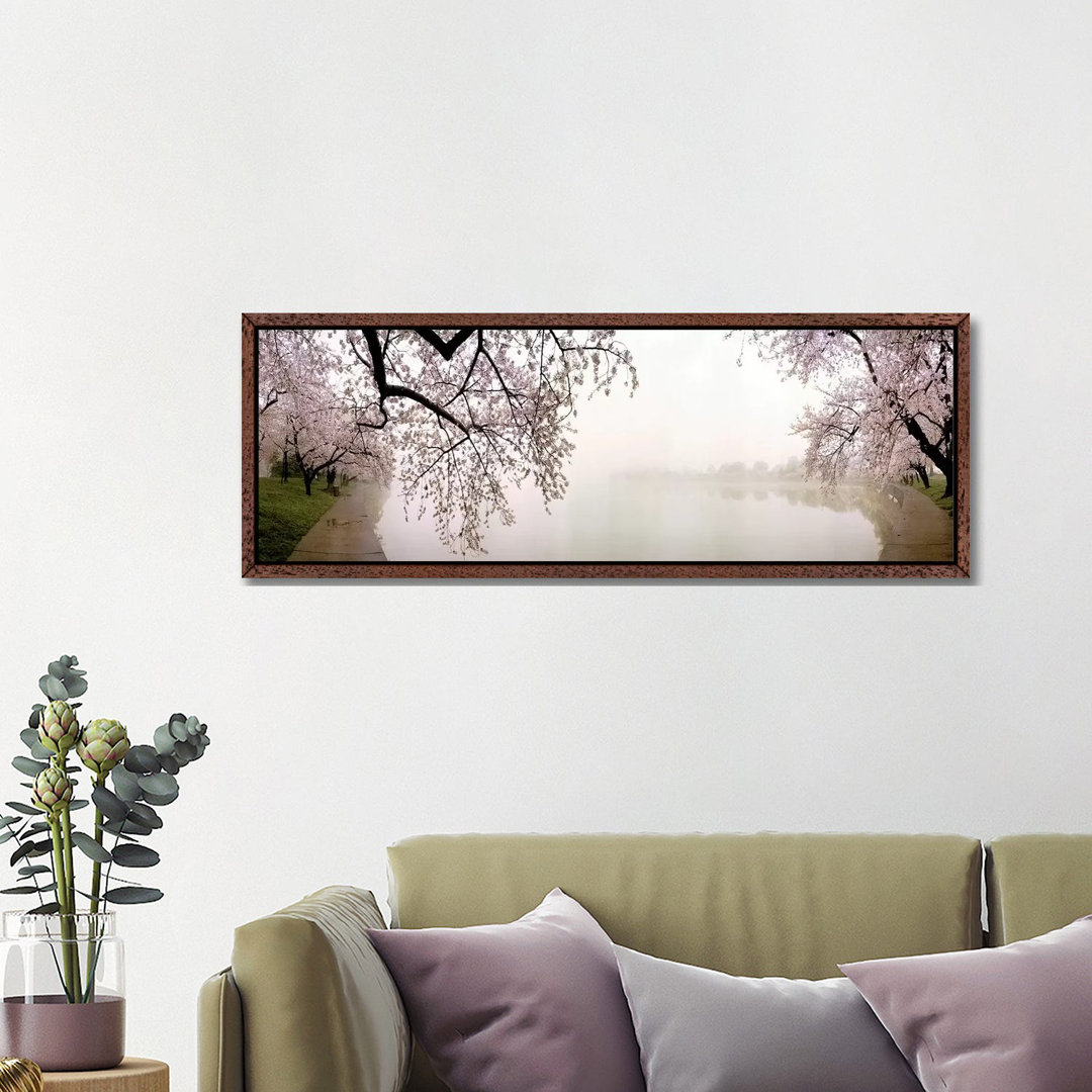 Cherry Blossoms At The LakesideWashington DC, USA von Panoramic Images - Floater Frame Panoramic Gallery-Wrapped Canvas ...