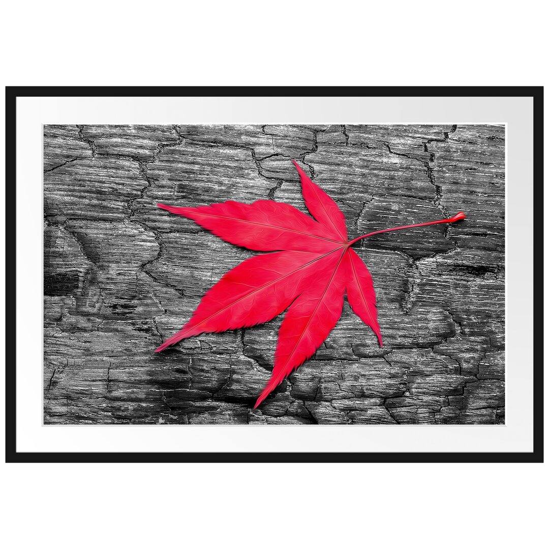 Gerahmtes Poster Rotes Ahornblatt im Herbst