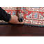 Tapis oriental 100% Super Kazak à teinture végétale 4