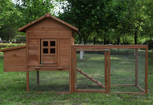 Chicken Coops for Less