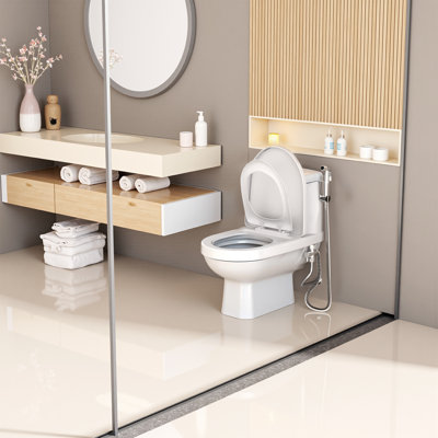 Robinet de toilette mural pour bidet
