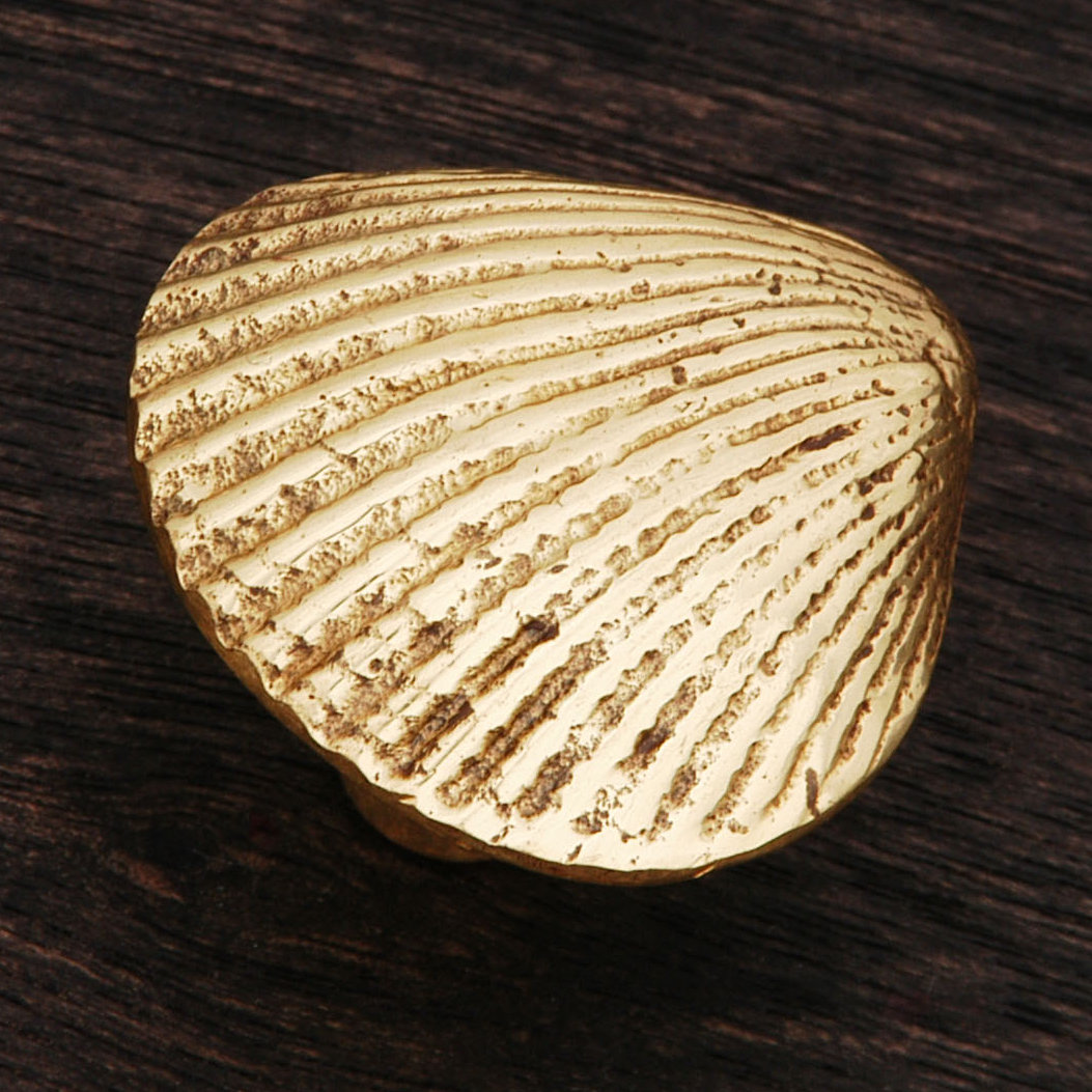 CK Series Shell Cabinet Knob, Polished Brass